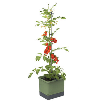 Produktbild fr 'Innovatives Tomaten-Pflanztopf Starter-Set'